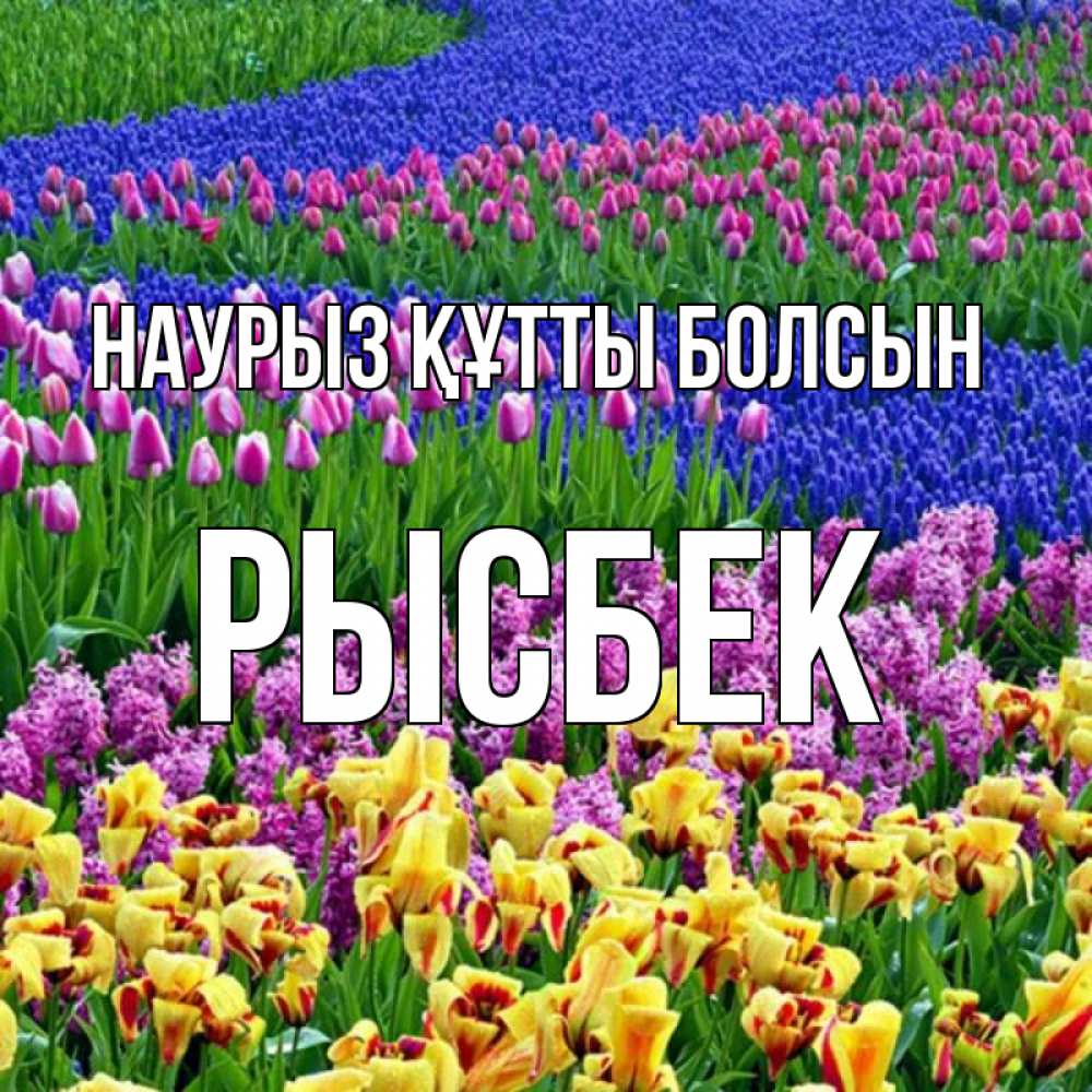 Күн сайын ашық хат с именем, РЫСБЕК Наурыз құтты болсын цветы Онлайн тегін жүктеп алу тілектері бар керемет карта 