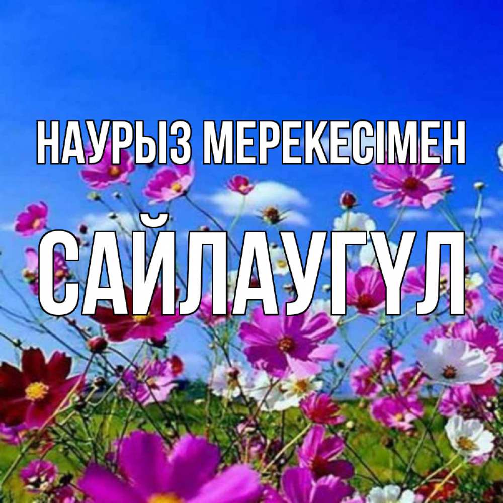 Күн сайын ашық хат с именем, САЙЛАУГҮЛ Наурыз мерекесімен цветы Онлайн тегін жүктеп алу тілектері бар керемет карта 