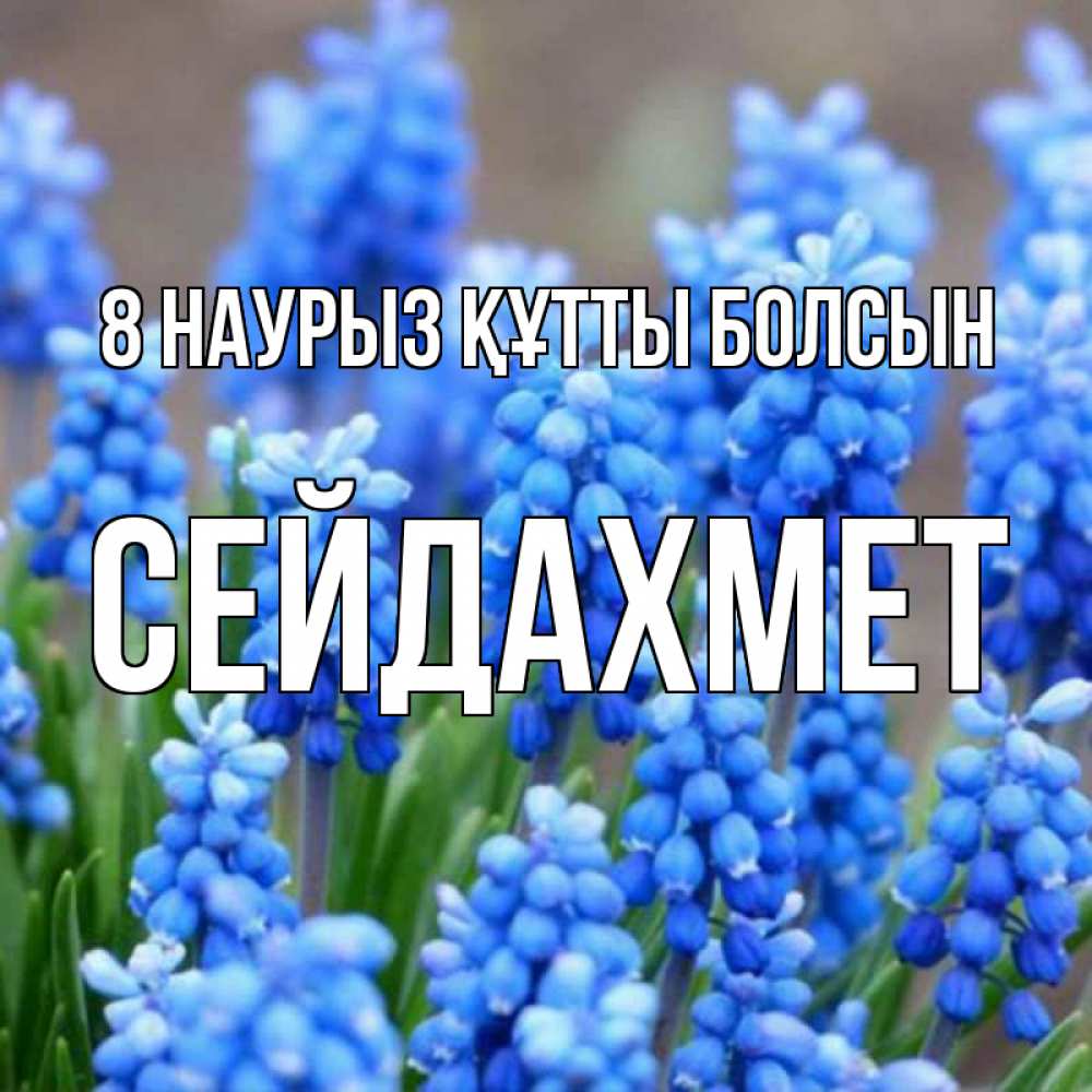 Күн сайын ашық хат с именем, СЕЙДАХМЕТ 8 наурыз құтты болсын Поздравительная открытка для женщин с цветами на праздничную дату Онлайн тегін жүктеп алу тілектері бар керемет карта 