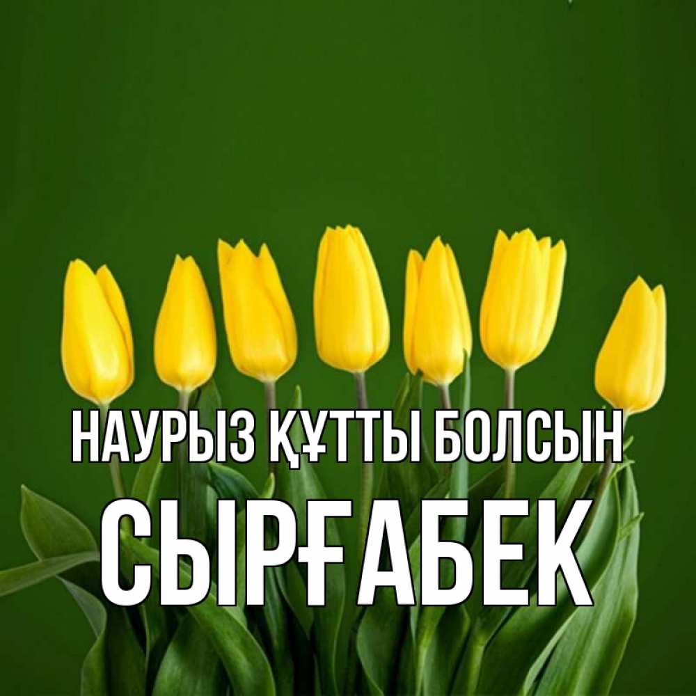 Күн сайын ашық хат с именем, СЫРҒАБЕК Наурыз құтты болсын желтого цвета 3 Онлайн тегін жүктеп алу тілектері бар керемет карта 