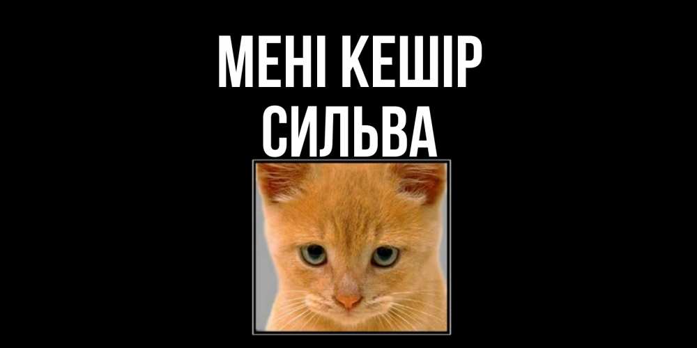 Күн сайын ашық хат с именем, Сильва Мені кешір рыжий грустный кот просит прощения Онлайн тегін жүктеп алу тілектері бар керемет карта 