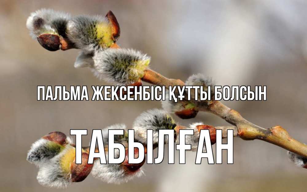 Күн сайын ашық хат с именем, ТАБЫЛҒАН Пальма жексенбісі құтты болсын Верба Онлайн тегін жүктеп алу тілектері бар керемет карта 