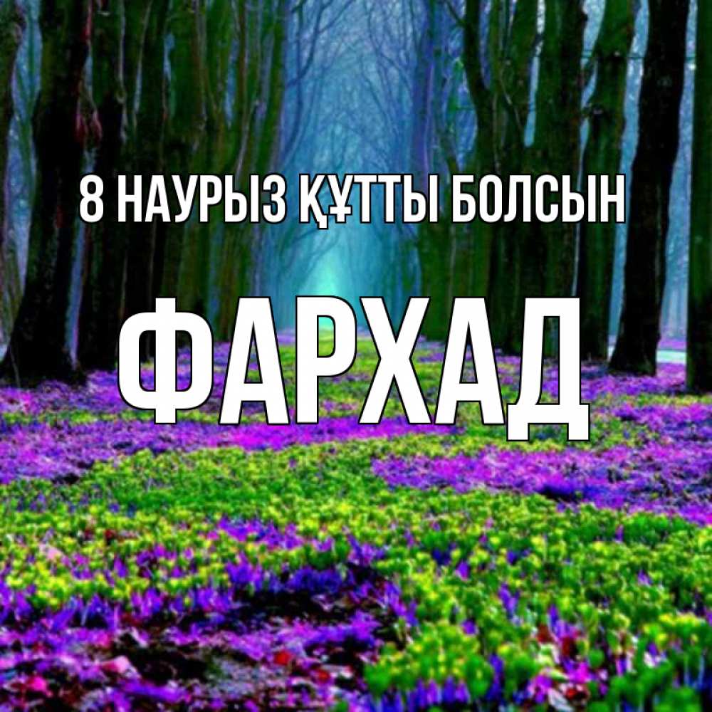 Күн сайын ашық хат с именем, Фархад 8 наурыз құтты болсын фиолетовые цветы в лесу 1 Онлайн тегін жүктеп алу тілектері бар керемет карта 