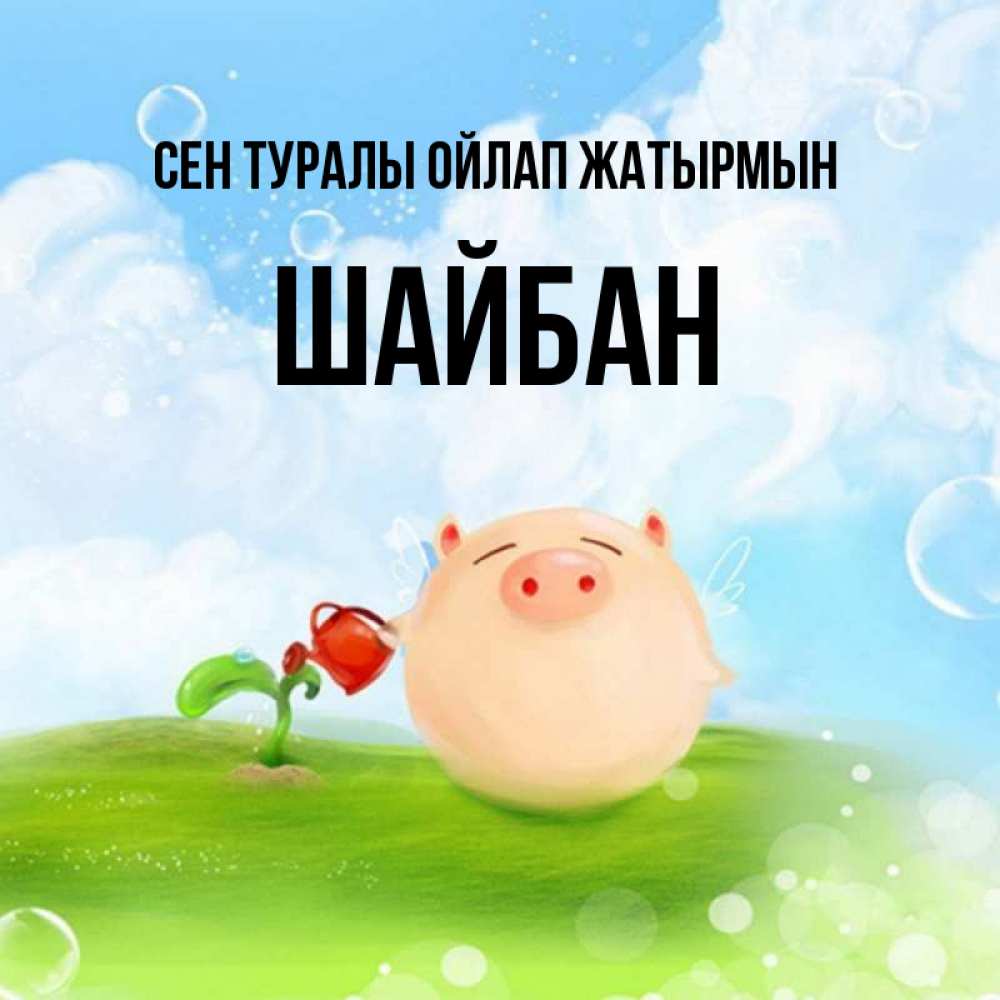 Күн сайын ашық хат с именем, ШАЙБАН Сен туралы ойлап жатырмын позитивная свинюшка Онлайн тегін жүктеп алу тілектері бар керемет карта 
