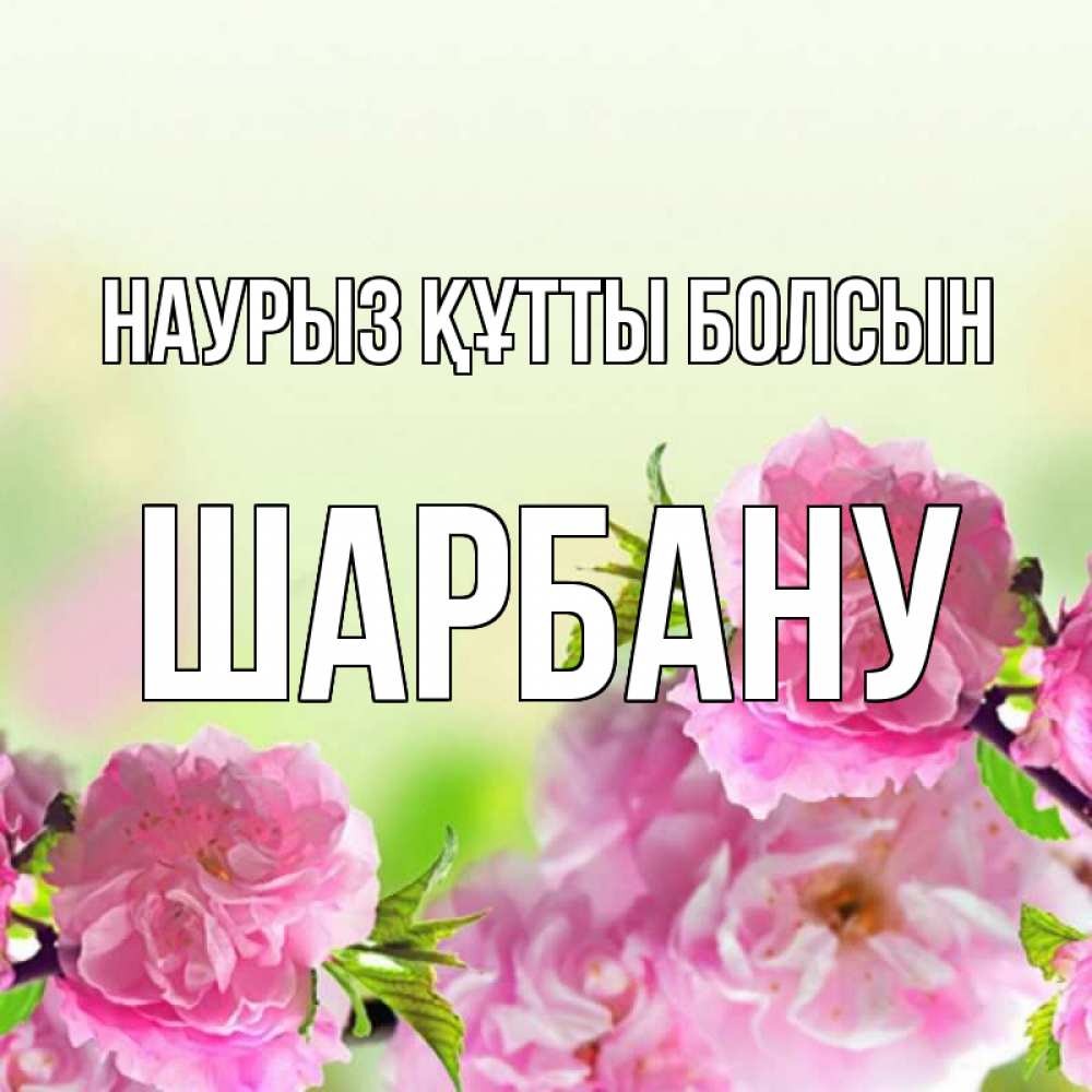Күн сайын ашық хат с именем, ШАРБАНУ Наурыз құтты болсын цветы Онлайн тегін жүктеп алу тілектері бар керемет карта 