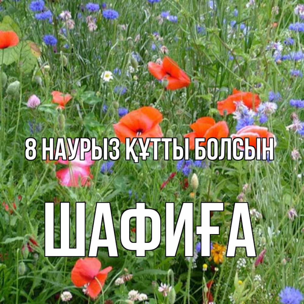 Күн сайын ашық хат с именем, ШАФИҒА 8 наурыз құтты болсын международный женский день 4 Онлайн тегін жүктеп алу тілектері бар керемет карта 