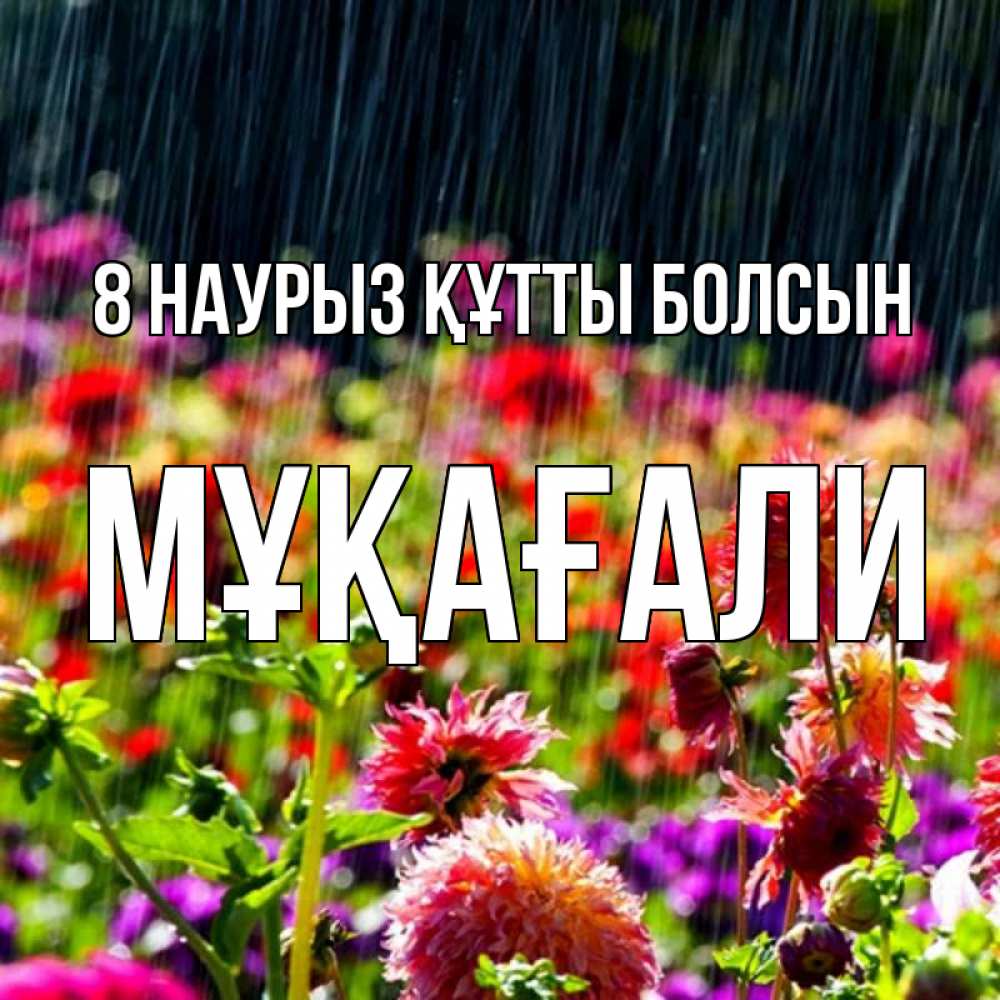 Күн сайын ашық хат с именем, МҰҚАҒАЛИ 8 наурыз құтты болсын цветы под дождиком к международному женскому дню Онлайн тегін жүктеп алу тілектері бар керемет карта 