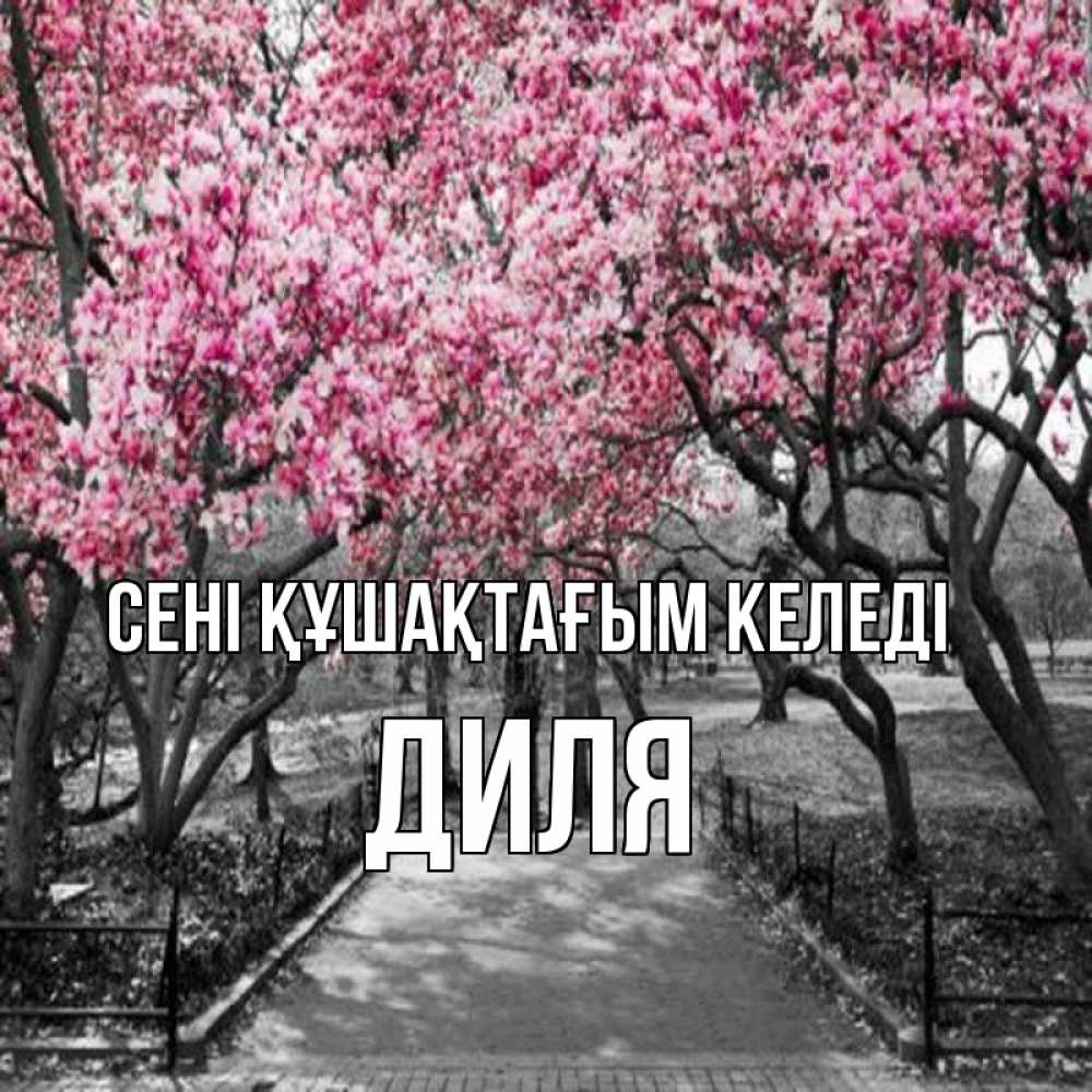 Күн сайын ашық хат с именем, Диля сені құшақтағым келеді обработанное фото Онлайн тегін жүктеп алу тілектері бар керемет карта 