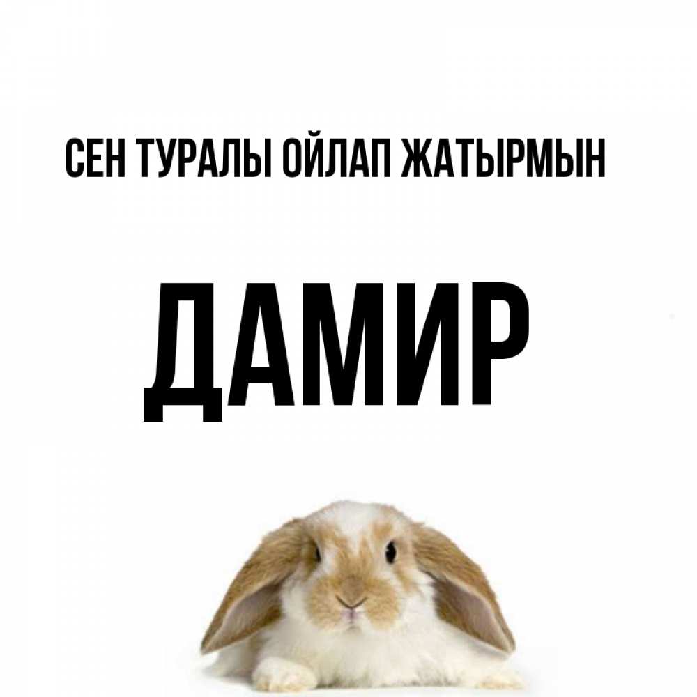 Күн сайын ашық хат с именем, Дамир Сен туралы ойлап жатырмын подписать своими руками онлайн Онлайн тегін жүктеп алу тілектері бар керемет карта 