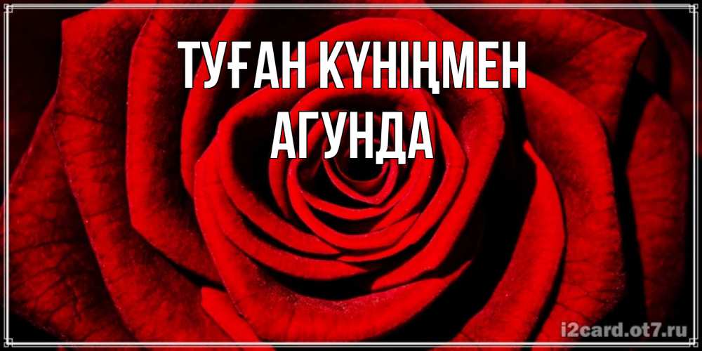 Күн сайын ашық хат с именем, Агунда Туған күніңмен алая роза Онлайн тегін жүктеп алу тілектері бар керемет карта 