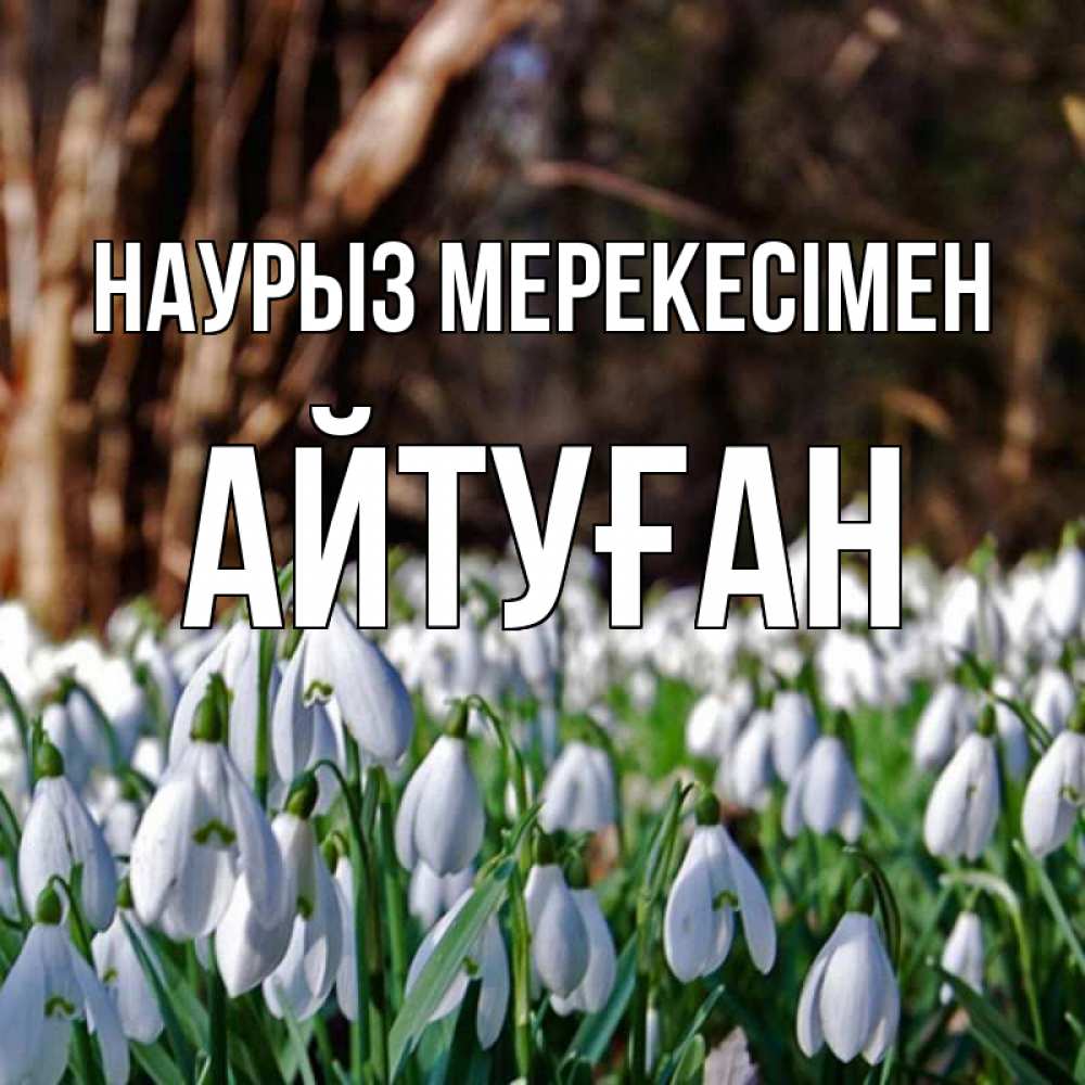 Күн сайын ашық хат с именем, Айтуған Наурыз мерекесімен с подснежниками 1 Онлайн тегін жүктеп алу тілектері бар керемет карта 
