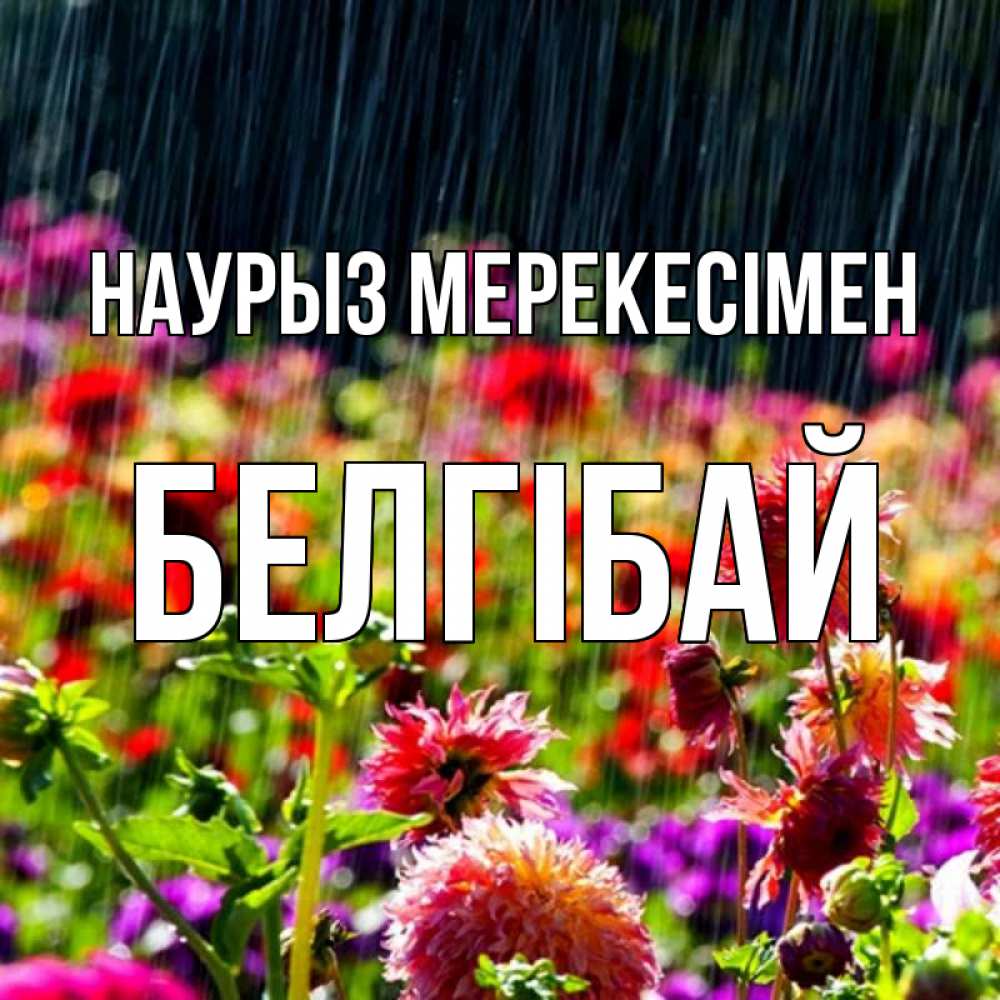 Күн сайын ашық хат с именем, Белгібай Наурыз мерекесімен цветы под дождиком к международному женскому дню Онлайн тегін жүктеп алу тілектері бар керемет карта 