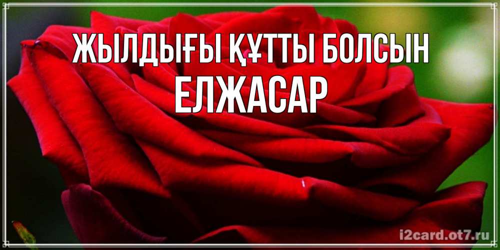 Күн сайын ашық хат с именем, Елжасар Жылдығы құтты болсын розочка очень красивая Онлайн тегін жүктеп алу тілектері бар керемет карта 