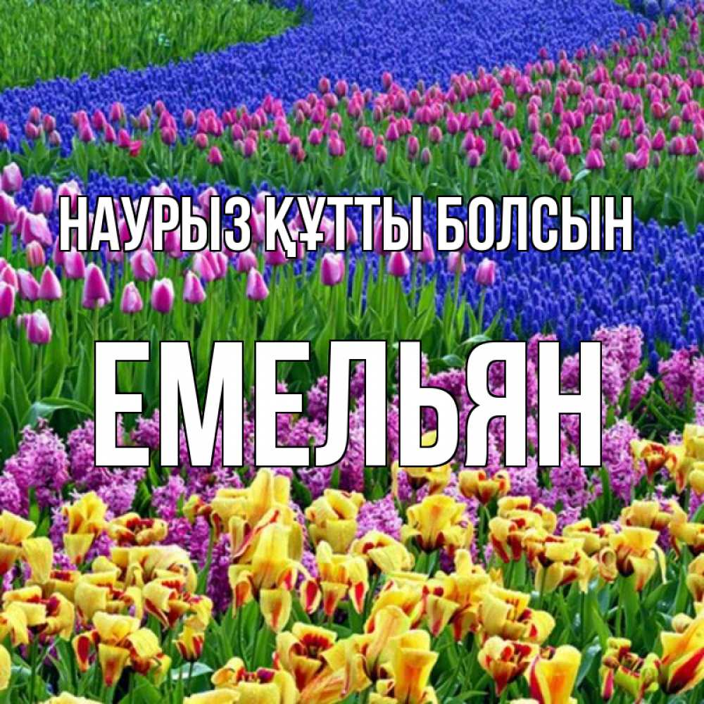 Күн сайын ашық хат с именем, Емельян Наурыз құтты болсын цветы Онлайн тегін жүктеп алу тілектері бар керемет карта 