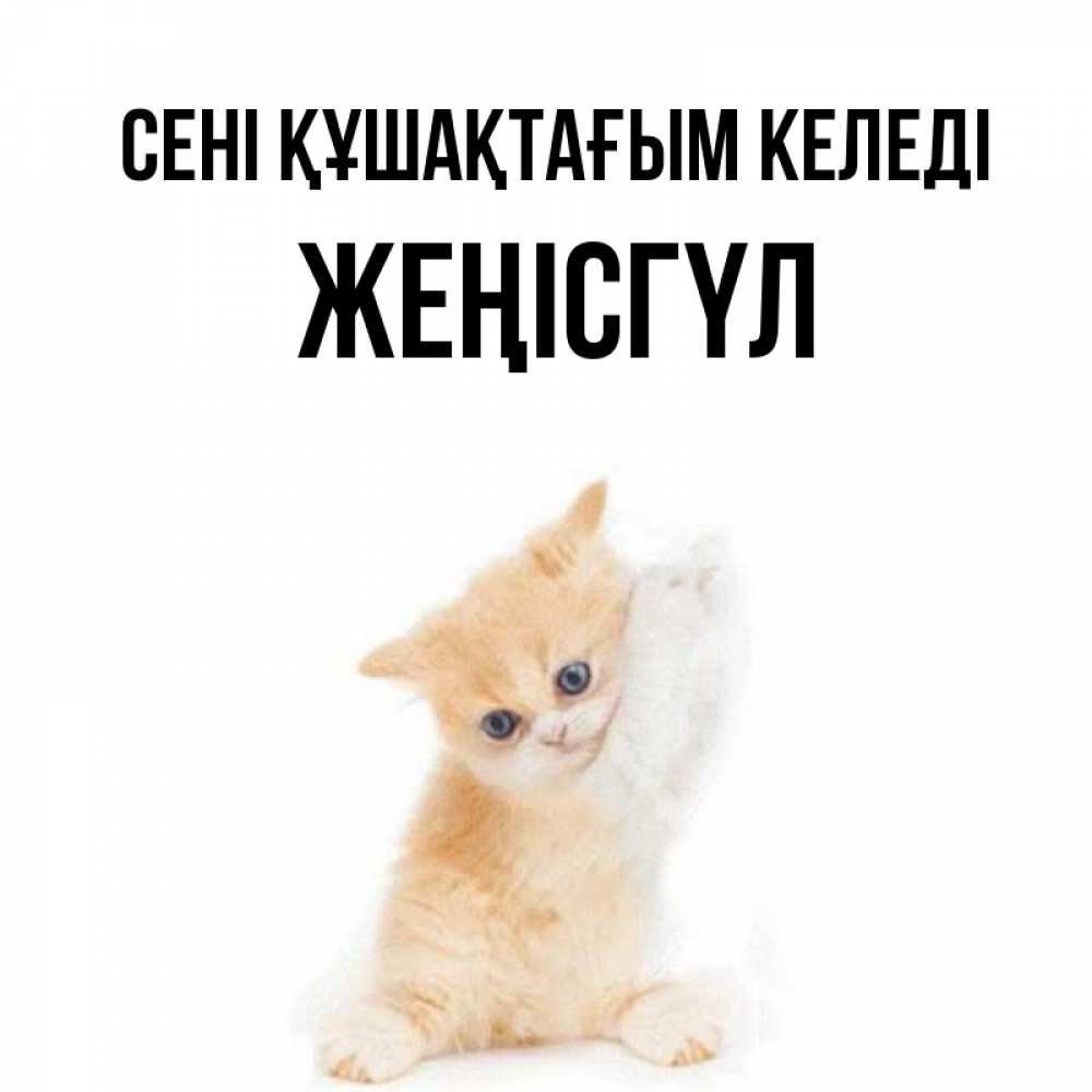 Күн сайын ашық хат с именем, ЖЕҢІСГҮЛ сені құшақтағым келеді я хочу очень скорее обнимаешек Онлайн тегін жүктеп алу тілектері бар керемет карта 