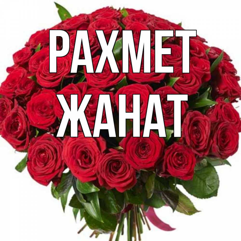 Күн сайын ашық хат с именем, Жанат рахмет букет красных роз Онлайн тегін жүктеп алу тілектері бар керемет карта 