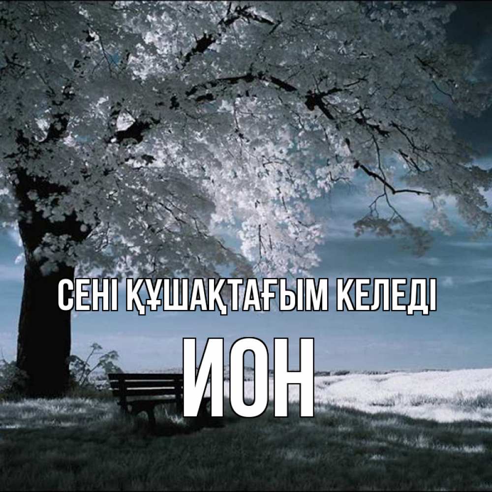 Күн сайын ашық хат с именем, Ион сені құшақтағым келеді дерево Онлайн тегін жүктеп алу тілектері бар керемет карта 