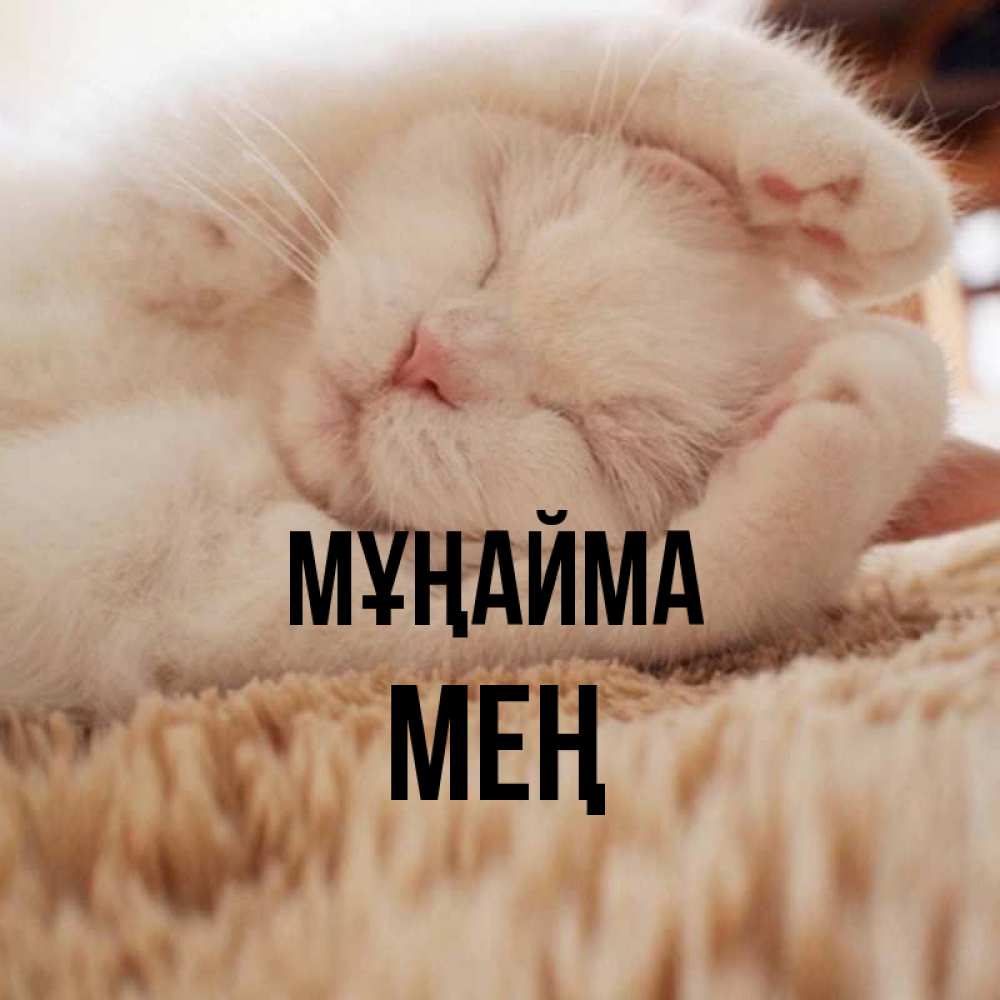 Күн сайын ашық хат с именем, МЕҢ Мұңайма Котенок спит Онлайн тегін жүктеп алу тілектері бар керемет карта 