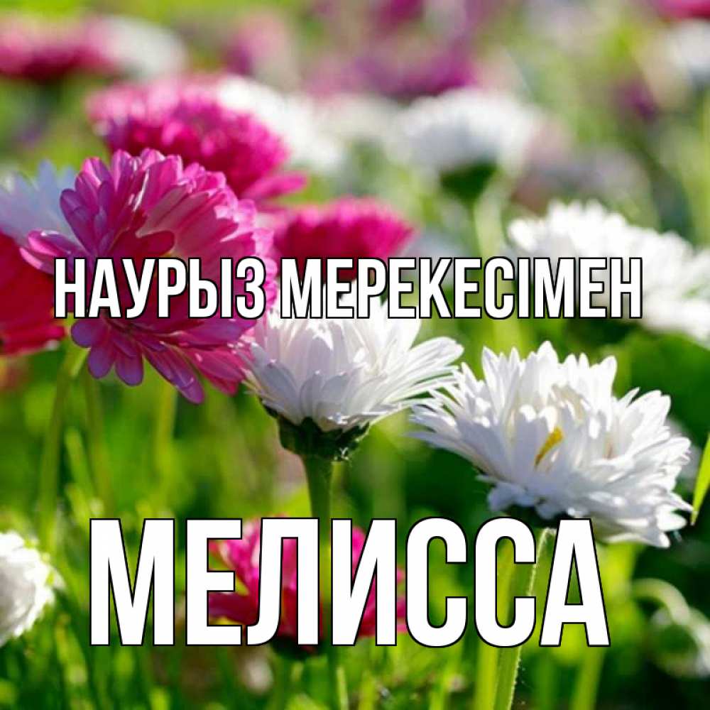 Күн сайын ашық хат с именем, Мелисса Наурыз мерекесімен праздник весны наурыз красота Онлайн тегін жүктеп алу тілектері бар керемет карта 