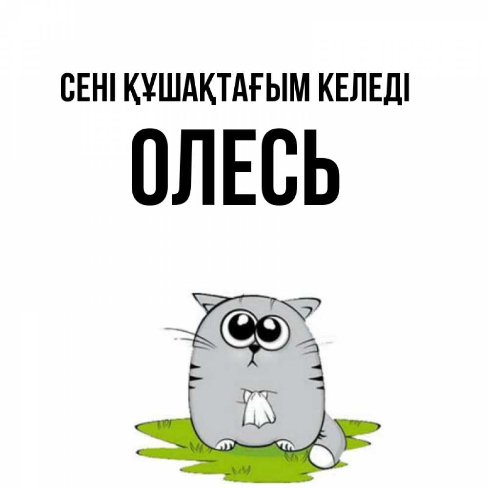 Күн сайын ашық хат с именем, Олесь сені құшақтағым келеді котик теребит платочек сидя на травке Онлайн тегін жүктеп алу тілектері бар керемет карта 