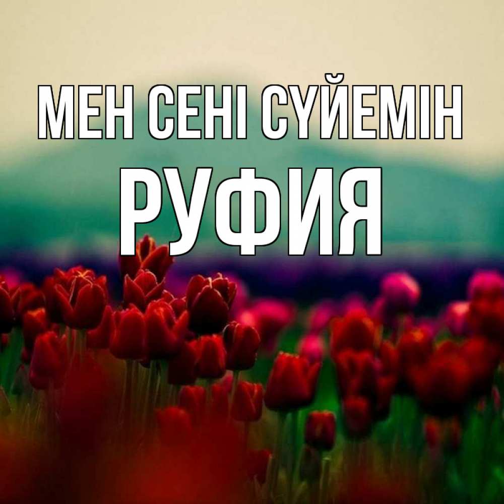 Күн сайын ашық хат с именем, РУФИЯ Мен сені сүйемін тюльпаны 4 Онлайн тегін жүктеп алу тілектері бар керемет карта 