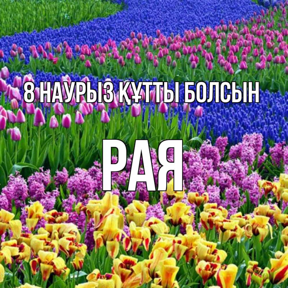 Күн сайын ашық хат с именем, Рая 8 наурыз құтты болсын цветы Онлайн тегін жүктеп алу тілектері бар керемет карта 