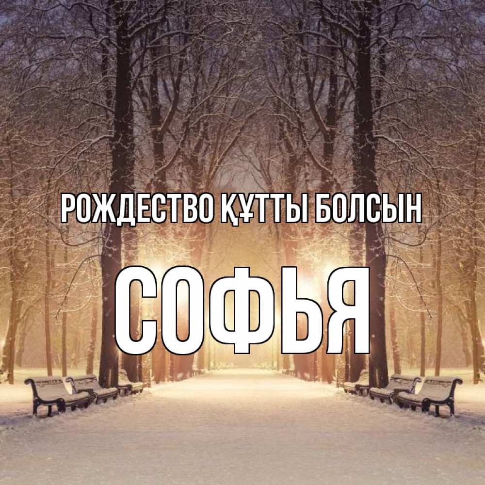 Күн сайын ашық хат с именем, Софья Рождество құтты болсын зима, парк, фонарь, лес Онлайн тегін жүктеп алу тілектері бар керемет карта 