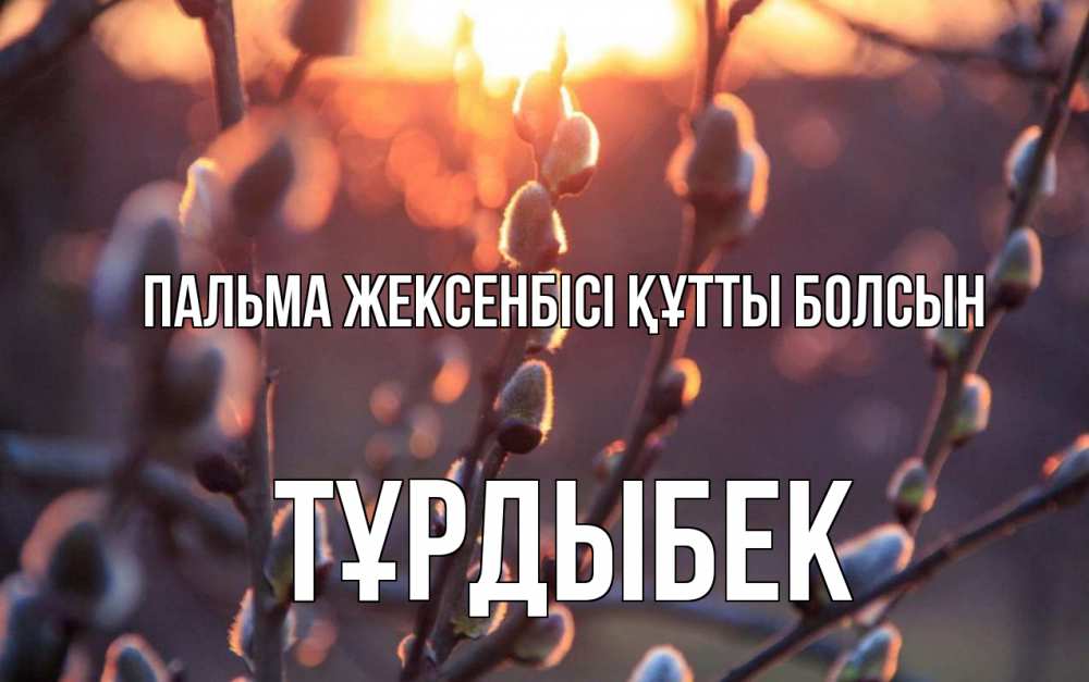 Күн сайын ашық хат с именем, ТҰРДЫБЕК Пальма жексенбісі құтты болсын верба Онлайн тегін жүктеп алу тілектері бар керемет карта 