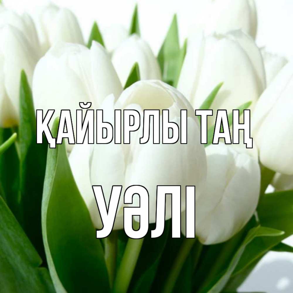 Күн сайын ашық хат с именем, УӘЛІ Қайырлы таң открытки на каждый день по именам Онлайн тегін жүктеп алу тілектері бар керемет карта 
