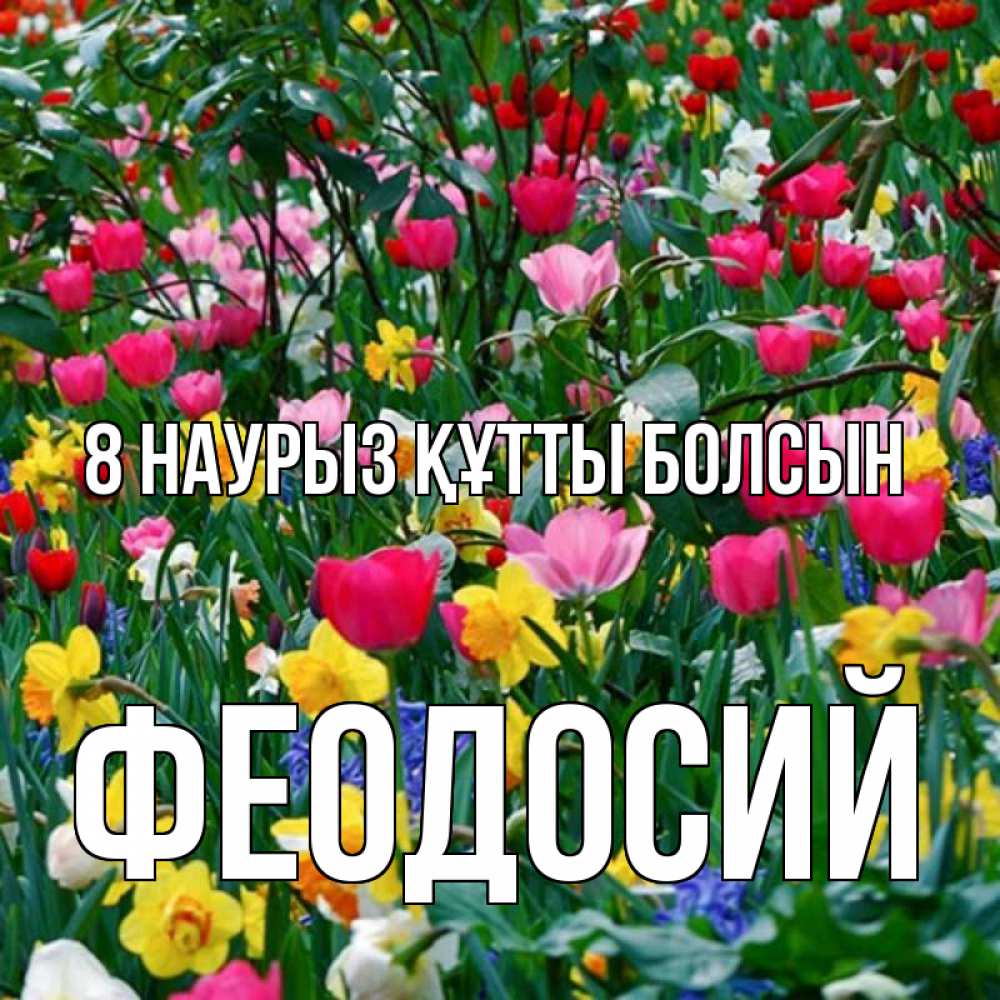 Күн сайын ашық хат с именем, Феодосий 8 наурыз құтты болсын с международным женским днем поздравления для женщины Онлайн тегін жүктеп алу тілектері бар керемет карта 