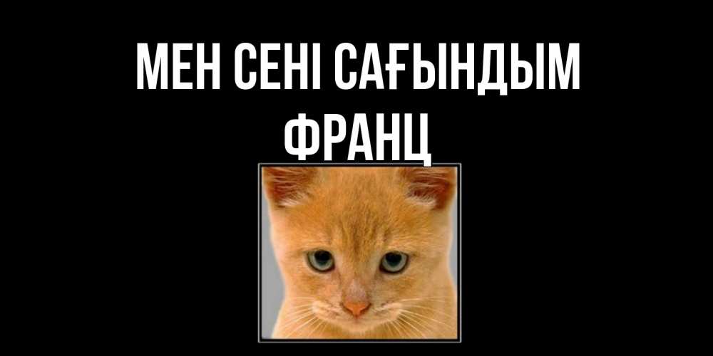 Күн сайын ашық хат с именем, Франц Мен сені сағындым открытки рыжий котенок скучает по тебе Онлайн тегін жүктеп алу тілектері бар керемет карта 