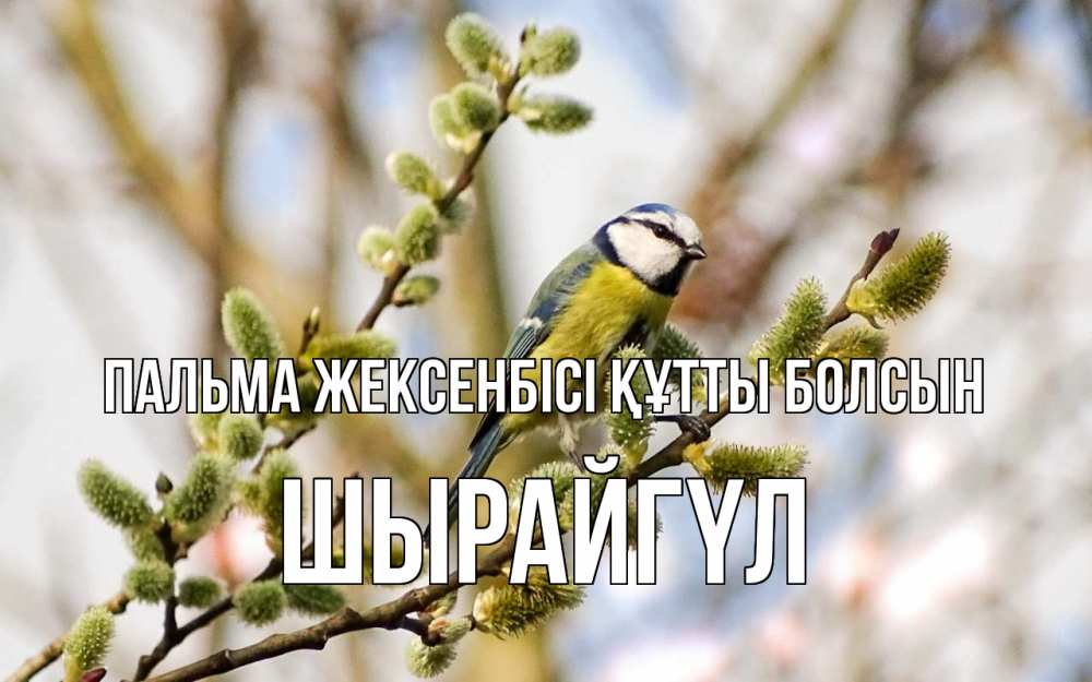 Күн сайын ашық хат с именем, ШЫРАЙГҮЛ Пальма жексенбісі құтты болсын верба Онлайн тегін жүктеп алу тілектері бар керемет карта 