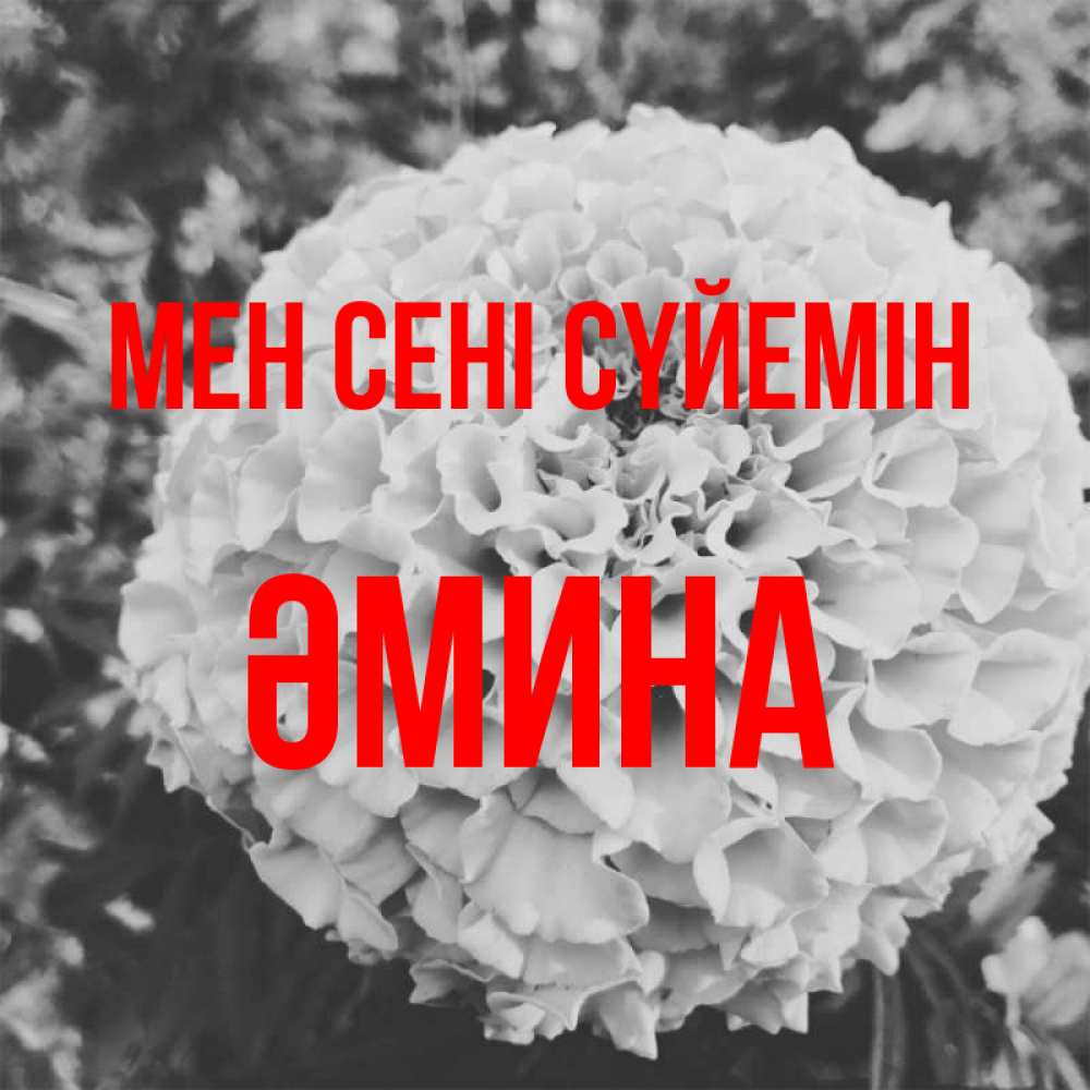 Күн сайын ашық хат с именем, ӘМИНА Мен сені сүйемін подпись Онлайн тегін жүктеп алу тілектері бар керемет карта 