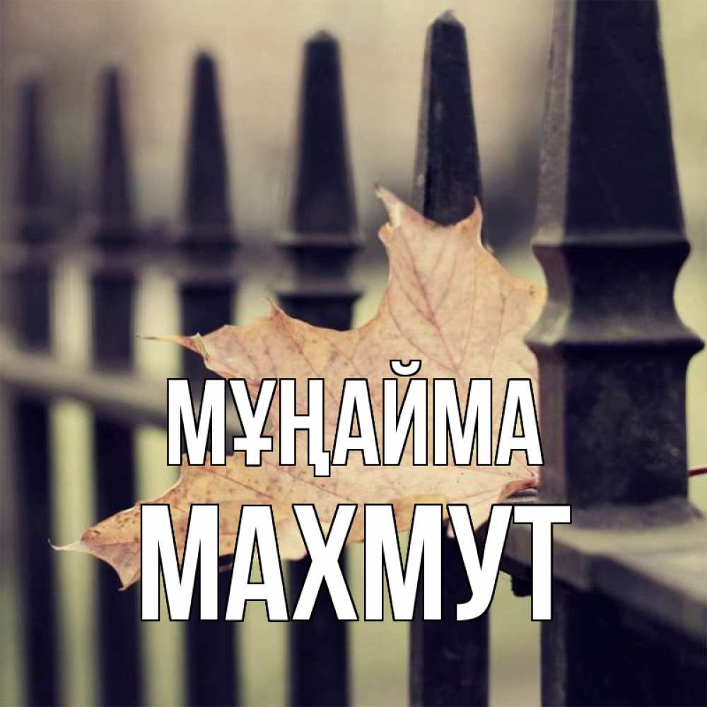 Күн сайын ашық хат с именем, МАХМУТ Мұңайма лист клена Онлайн тегін жүктеп алу тілектері бар керемет карта 