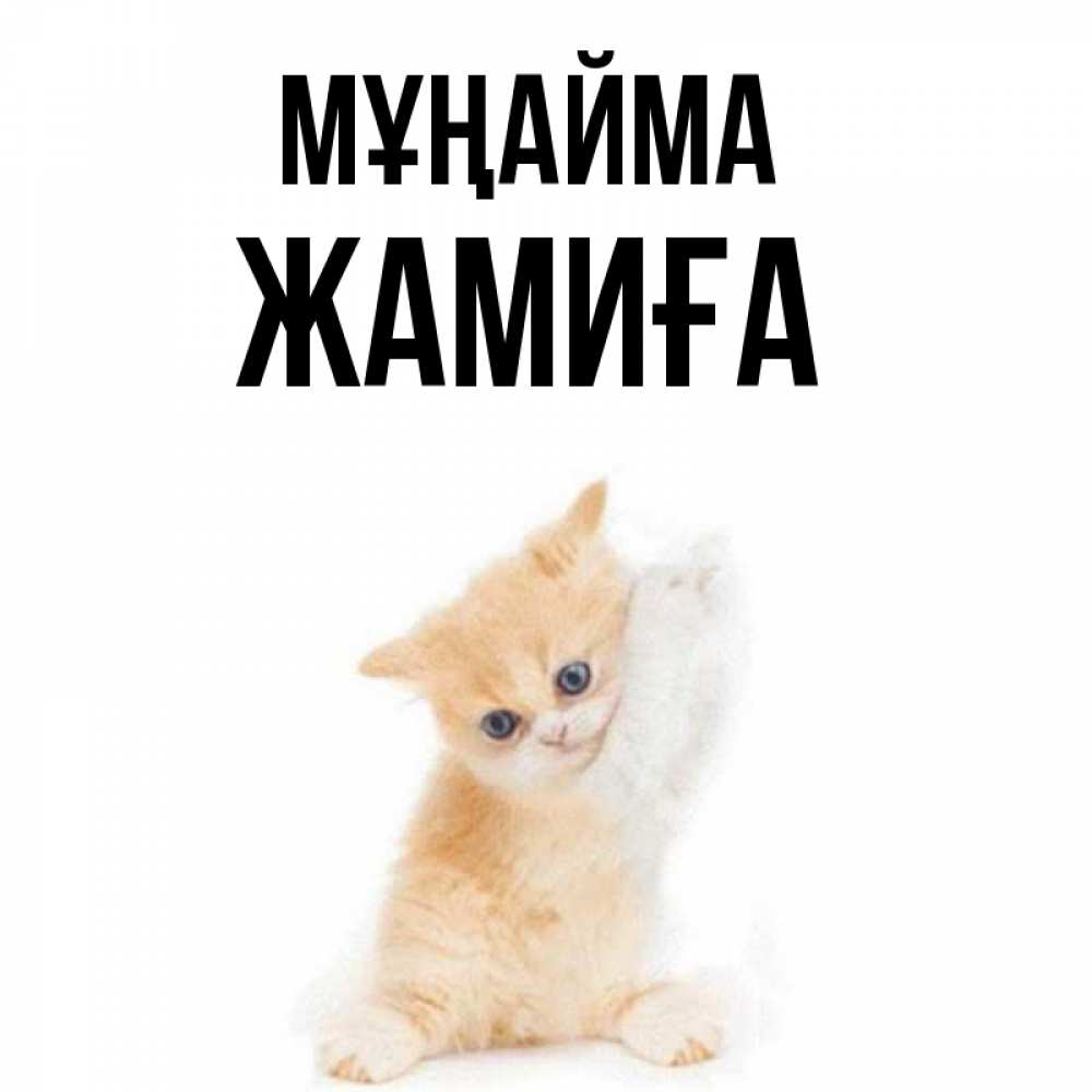 Күн сайын ашық хат с именем, ЖАМИҒА Мұңайма просящий кот Онлайн тегін жүктеп алу тілектері бар керемет карта 