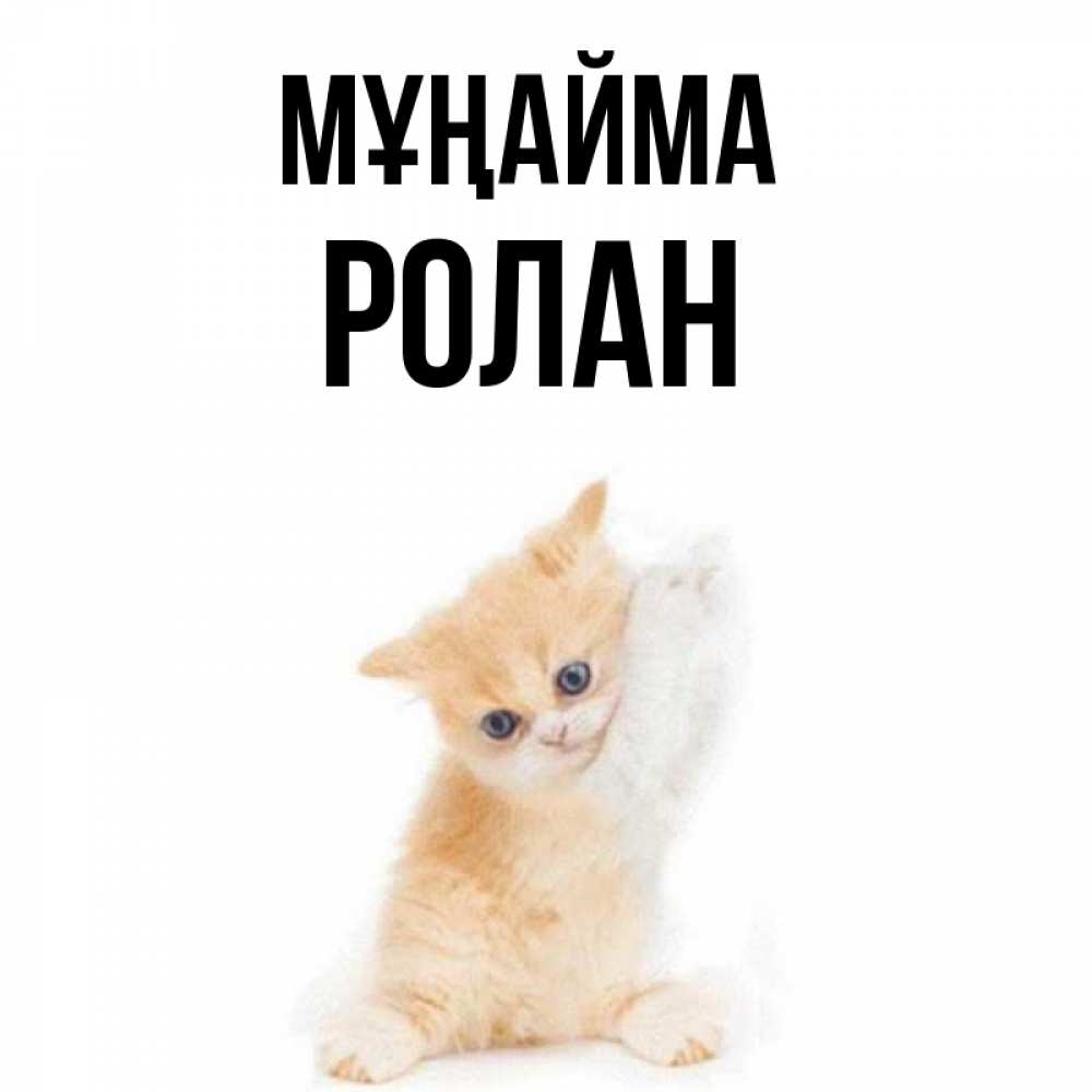 Күн сайын ашық хат с именем, Ролан Мұңайма просящий кот Онлайн тегін жүктеп алу тілектері бар керемет карта 