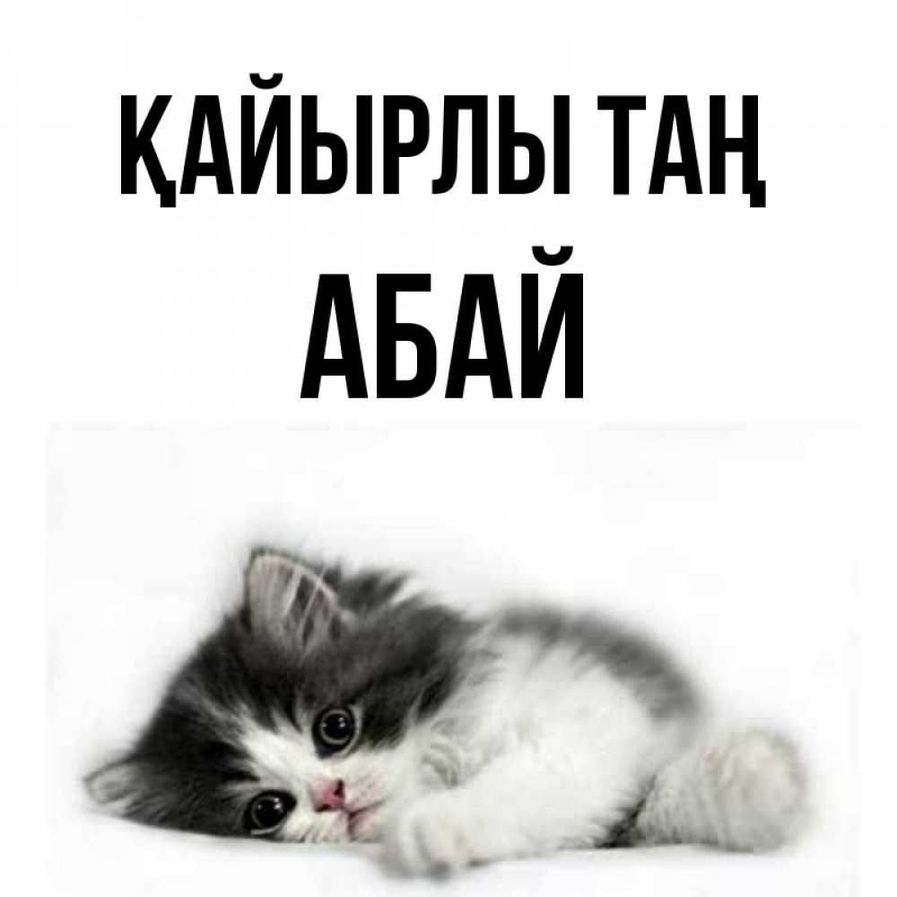 Күн сайын ашық хат с именем, Абай Қайырлы таң кот лапки Онлайн тегін жүктеп алу тілектері бар керемет карта 