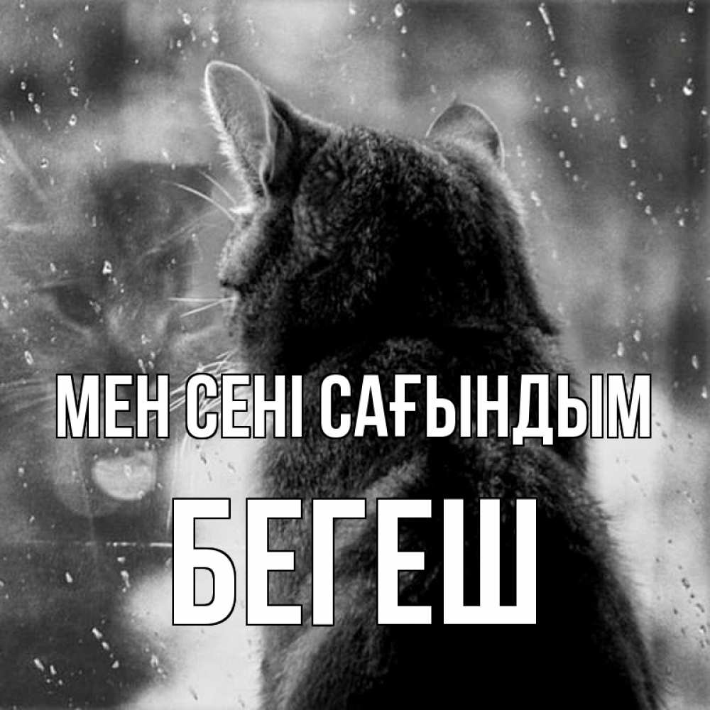 Күн сайын ашық хат с именем, Бегеш Мен сені сағындым скорее ко мне приходи 1 Онлайн тегін жүктеп алу тілектері бар керемет карта 