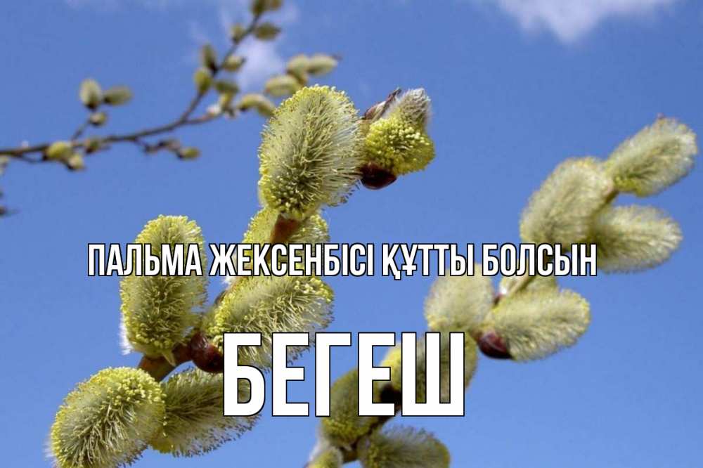 Күн сайын ашық хат с именем, Бегеш Пальма жексенбісі құтты болсын верба Онлайн тегін жүктеп алу тілектері бар керемет карта 