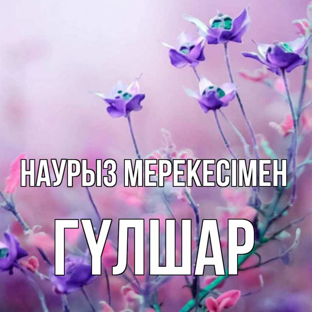 Күн сайын ашық хат с именем, ГҮЛШАР Наурыз мерекесімен международный женский день 2 Онлайн тегін жүктеп алу тілектері бар керемет карта 
