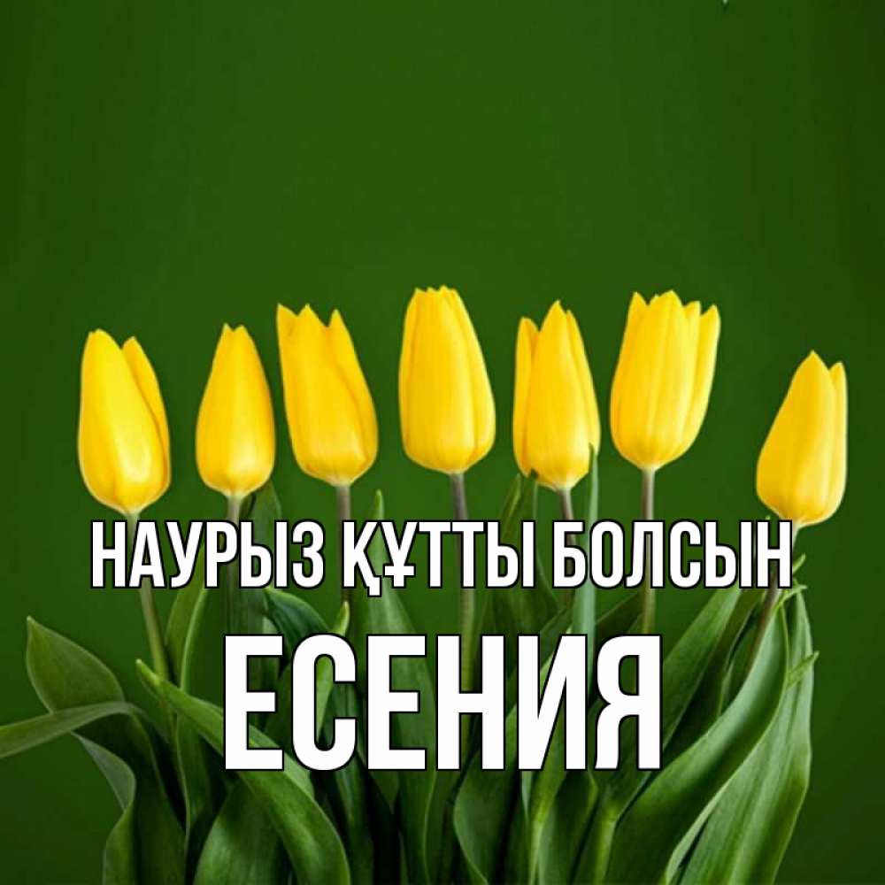 Күн сайын ашық хат с именем, Есения Наурыз құтты болсын желтого цвета 3 Онлайн тегін жүктеп алу тілектері бар керемет карта 