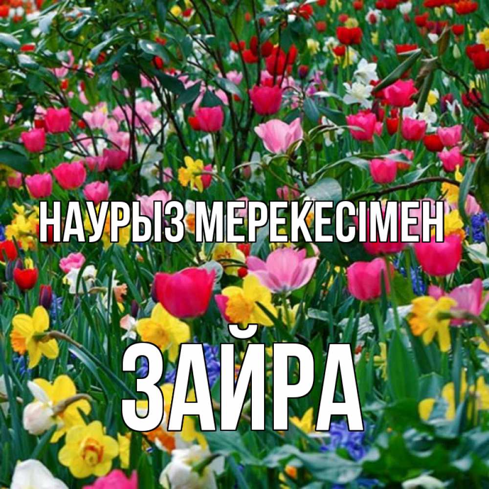 Күн сайын ашық хат с именем, ЗАЙРА Наурыз мерекесімен с наурызом праздником весны поздравления для женщины Онлайн тегін жүктеп алу тілектері бар керемет карта 