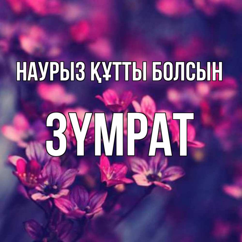 Күн сайын ашық хат с именем, ЗҮМРАТ Наурыз құтты болсын небольшие цветы 1 Онлайн тегін жүктеп алу тілектері бар керемет карта 