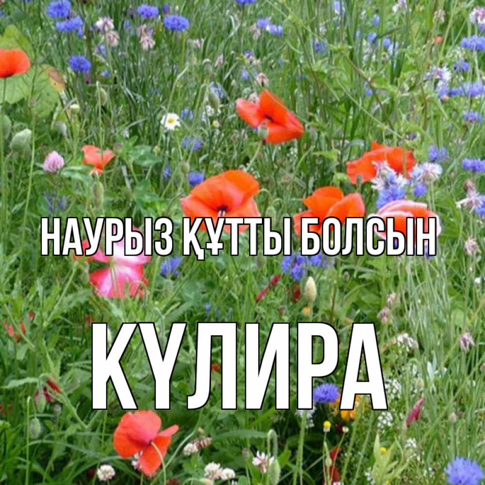 Күн сайын ашық хат с именем, КҮЛИРА Наурыз құтты болсын наурыз  4 Онлайн тегін жүктеп алу тілектері бар керемет карта 