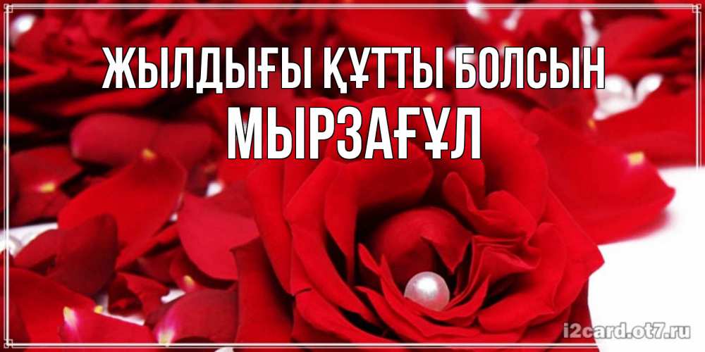 Күн сайын ашық хат с именем, Мырзағұл Жылдығы құтты болсын роза с жемчужиной на открытке для любимых Онлайн тегін жүктеп алу тілектері бар керемет карта 