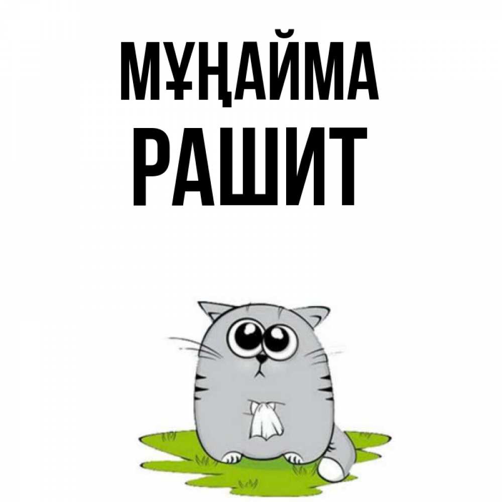 Күн сайын ашық хат с именем, РАШИТ Мұңайма грустный котяра Онлайн тегін жүктеп алу тілектері бар керемет карта 