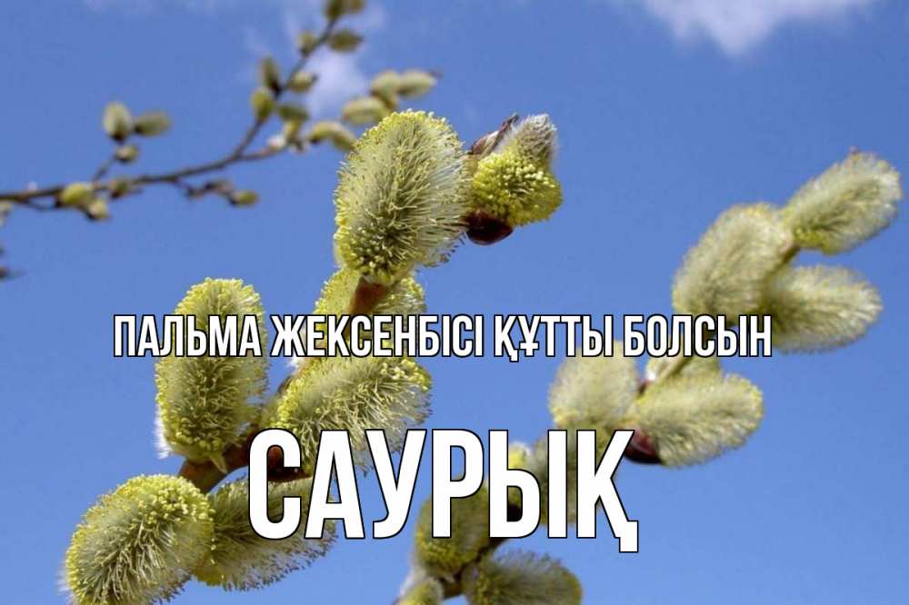 Күн сайын ашық хат с именем, САУРЫҚ Пальма жексенбісі құтты болсын верба Онлайн тегін жүктеп алу тілектері бар керемет карта 
