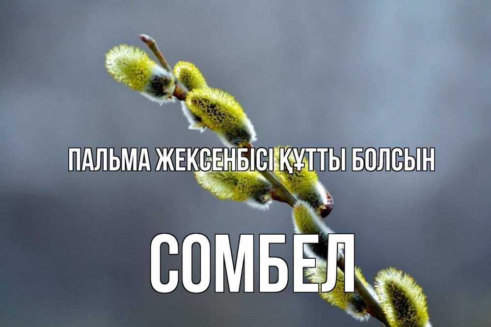 Күн сайын ашық хат с именем, СОМБЕЛ Пальма жексенбісі құтты болсын верба Онлайн тегін жүктеп алу тілектері бар керемет карта 