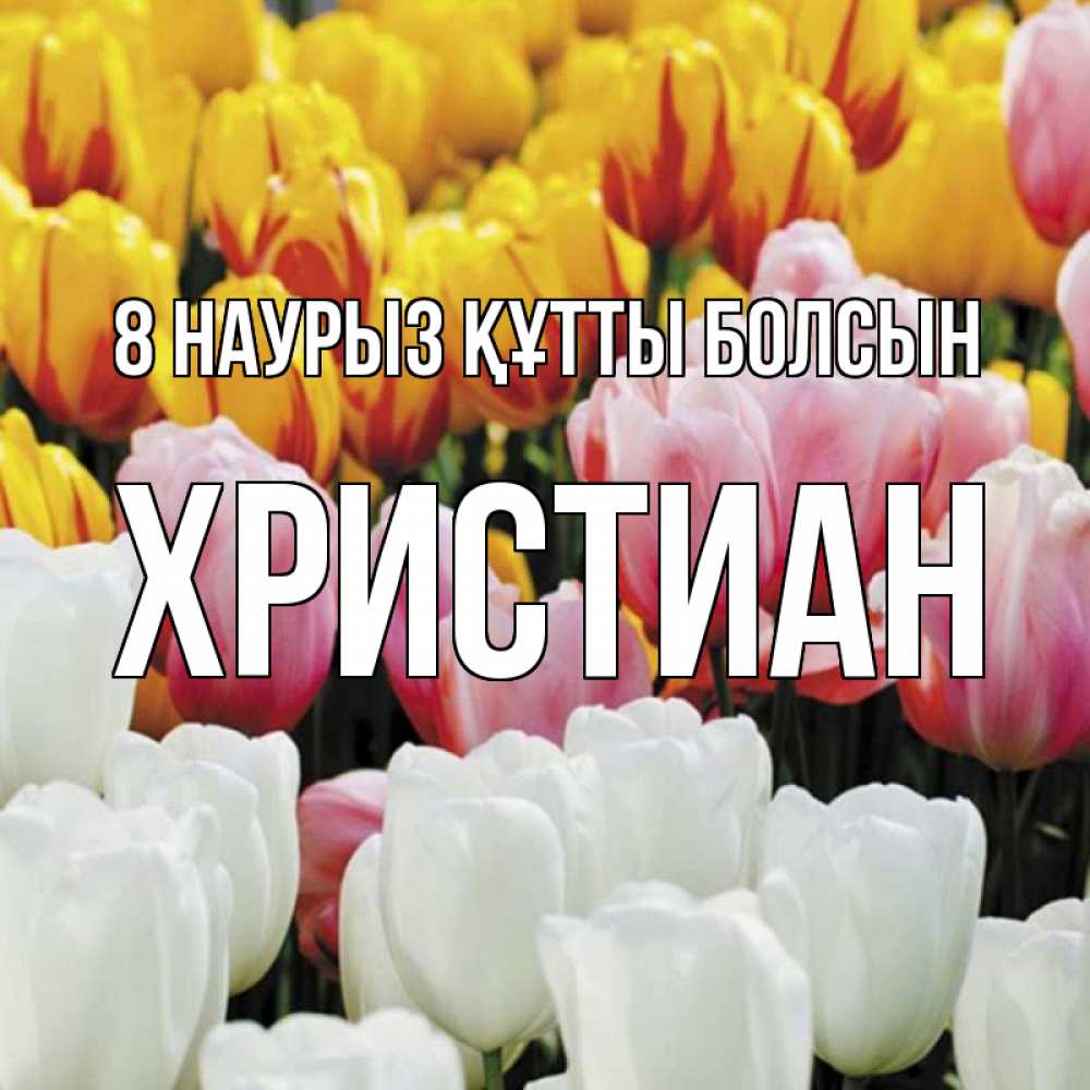 Күн сайын ашық хат с именем, Христиан 8 наурыз құтты болсын разноцветные цветы Онлайн тегін жүктеп алу тілектері бар керемет карта 