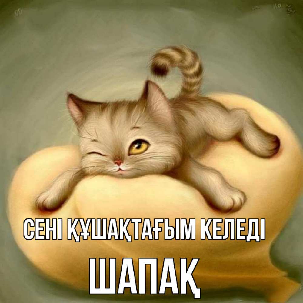 Күн сайын ашық хат с именем, ШАПАҚ сені құшақтағым келеді кошечка Онлайн тегін жүктеп алу тілектері бар керемет карта 